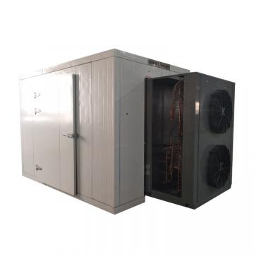 Drying Equipment of Fruit and Vegetables Cherry Tomato Dryer