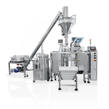 Automatic Horizontal Doypack Pouch Cookie Condiment Packaging Machine