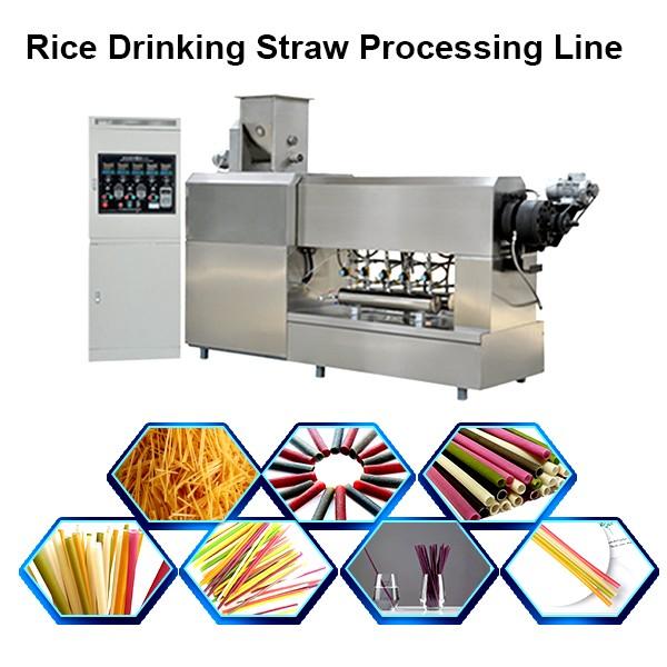 Non Plastic Drinking Straw Extruder Processing Machinery Rice Pasta Straws Manufacturing ...