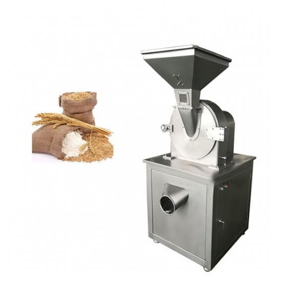 Food Processing Machine Stainless Steel Industrial Electric Meat Grinder