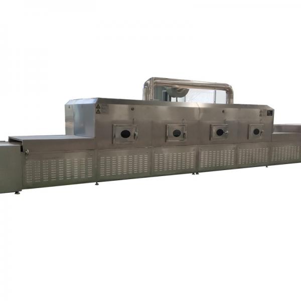 Industrial Agricultural Food Dreeze Drying Equipment Price