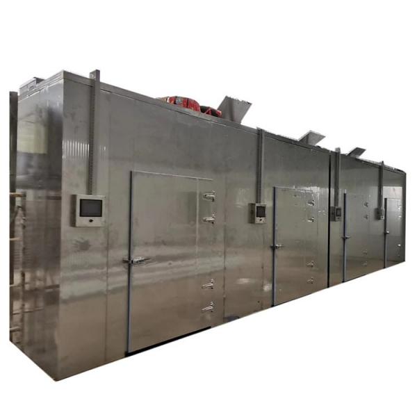 Commercial Fresh Vegetable and Fruit Dehydration Machine
