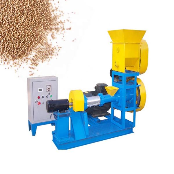Floating Fish Food Processing Line / Catfish Feed Pellet Making Extruder Machine Corn Snack Double Screw Pellet Extruder Plant Price